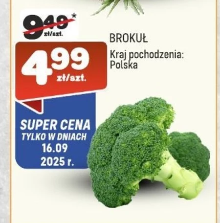 Брокколі