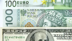 Rynki reagują na dane, złoty zyskuje. Sytuacja pozostaje dynamiczna 
