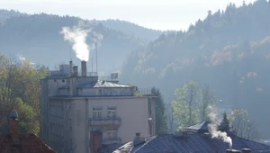 Program "Czyste Powietrze" w kryzysie. Spadek wniosków o 80 proc.