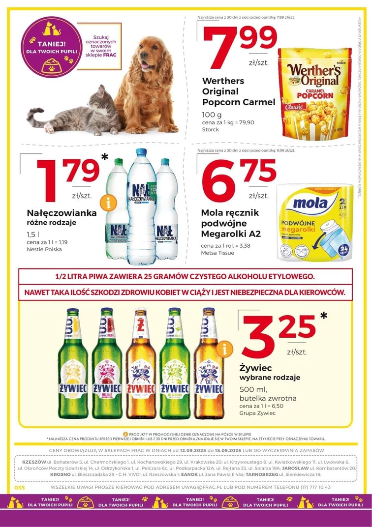 leaflet page preview image