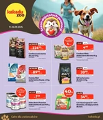 Sezon dojrzałych promocji – Kakadu Zoo