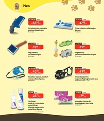 Sezon dojrzałych promocji – Kakadu Zoo