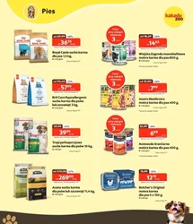 Sezon dojrzałych promocji – Kakadu Zoo
