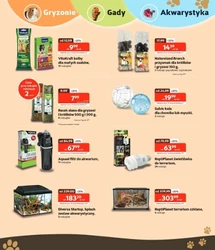 Sezon dojrzałych promocji – Kakadu Zoo