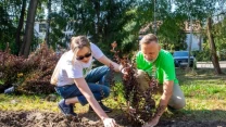 Dwie osoby sadzą krzew w ogrodzie, pochylone nad ziemią, współpracują przy pracy, otoczone roślinnością oraz drzewami w słoneczny dzień.