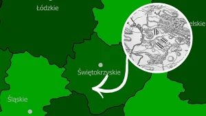 Pole bitwy do dziś określa się mianem trupieniec