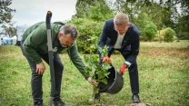 Dwóch mężczyzn sadzących młode drzewko na trawniku, jeden z nich w eleganckim garniturze i czerwonych rękawiczkach wsypuje ziemię do dołka, obok łopata oparta o nogę drugiego mężczyzny.