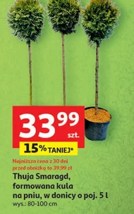 Thuja To ta!