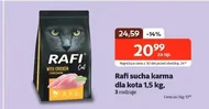 Karma dla kota Rafi