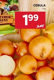 Цибуля
