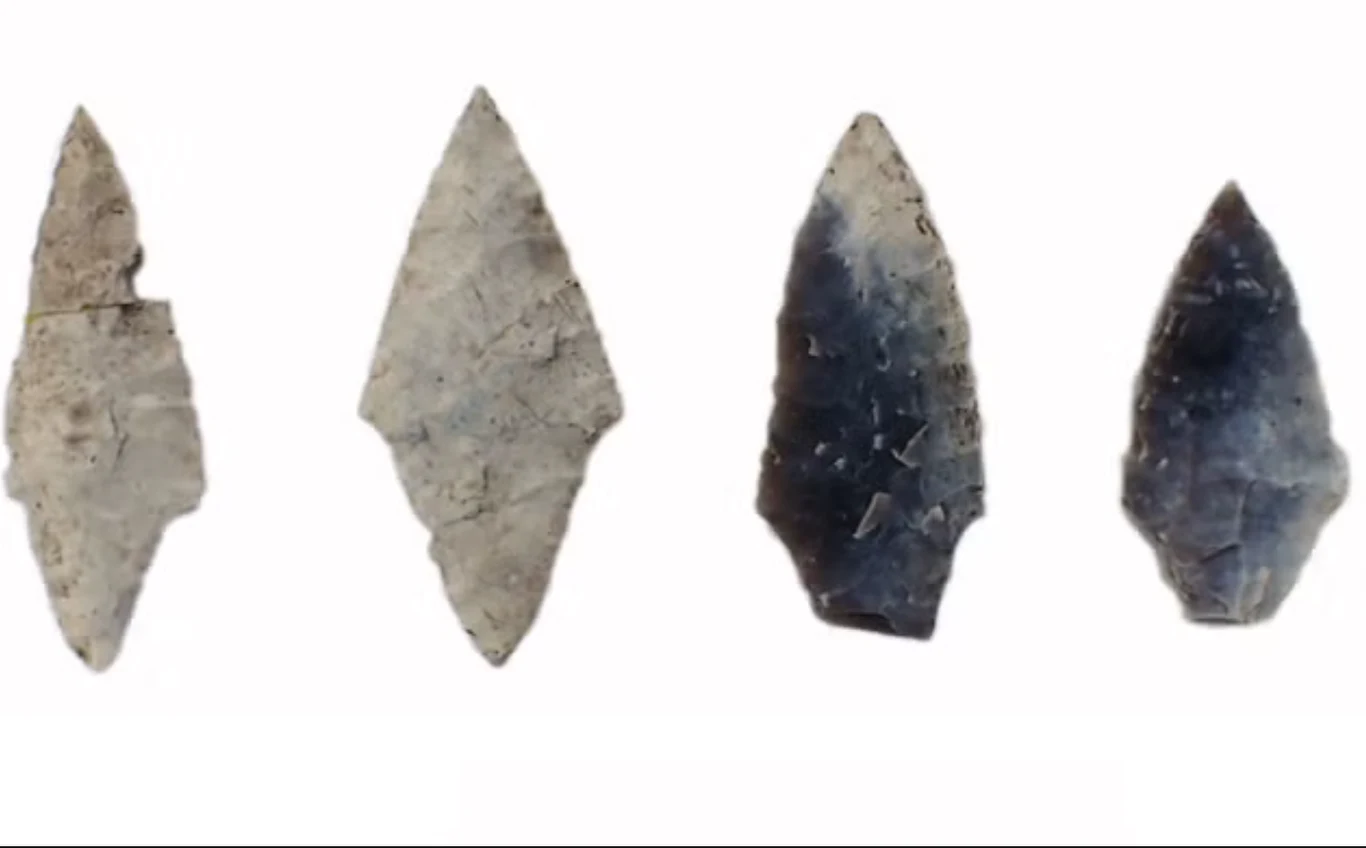 Do tej pory w interpretacjach życia społecznego epoki kamienia dominował stereotyp "mężczyzna-myśliwy" Do tej pory w interpretacjach życia społecznego epoki kamienia dominował stereotyp "mężczyzna-myśliwy"