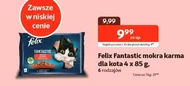 Mokra karma dla kota Felix