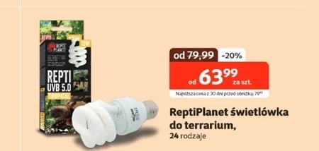 Świetlówka do terrarium Repti planet