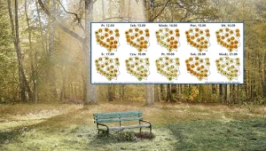 Jesień wkroczy do całej Polski. Wiemy, kiedy się ochłodzi