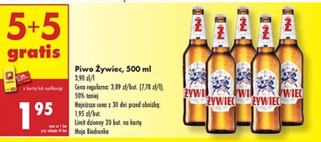Piwo Żywiec