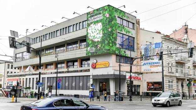 Ruchliwe miejskie skrzyżowanie z widocznym budynkiem wielopiętrowym, na którym znajduje się supermarket Biedronka oraz liczne reklamy, w tym grafika z motywem roślinnym. Wokół poruszają się samochody oraz piesi.