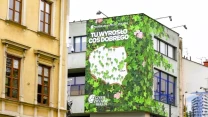 Mural na ścianie budynku pokryty ilustracją zielonych liści z różowymi kwiatami, w centrum znajduje się mapa Polski z naniesionymi drzewkami, a powyżej napis „Tu wyrosło coś dobrego”.