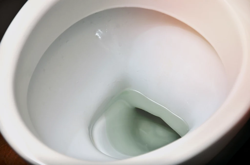 Jakich odpadów nie można wyrzucać do muszli klozetowej?