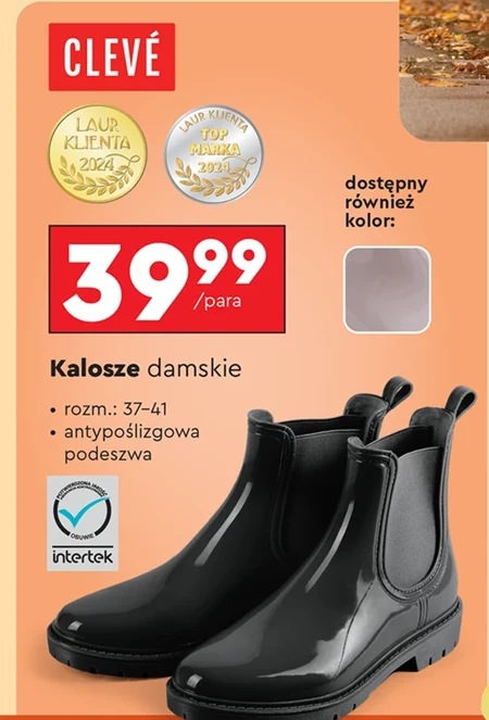 Kalosze Cleve