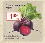 Burak Wigant