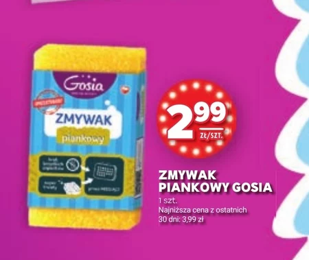 Zmywak Gosia