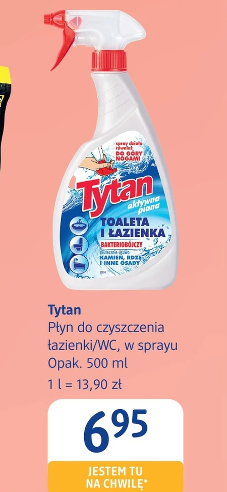 Płyn do czyszczenia Ironic Spray