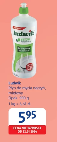 Płyn do naczyń Ludwik