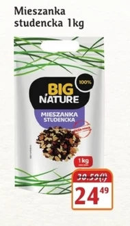 Студентський мікс Big Nature