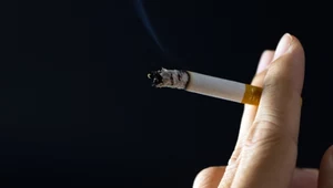 Jeden ruch, jedna decyzja i ginie wiele ryb. W polskim mieście rusza akcja