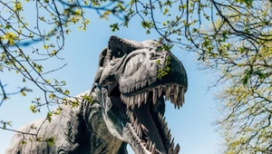 Podręczniki piszemy od nowa. Hemoglobina zidentyfikowana w kościach t-rexa