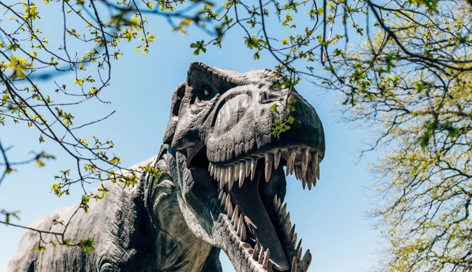 Podręczniki piszemy od nowa. Hemoglobina zidentyfikowana w kościach t-rexa
