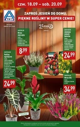 	Oszczędzaj nawet do 82% - Aldi