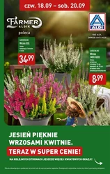 	Oszczędzaj nawet do 82% - Aldi
