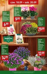 	Oszczędzaj nawet do 82% - Aldi