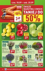 	Oszczędzaj nawet do 82% - Aldi