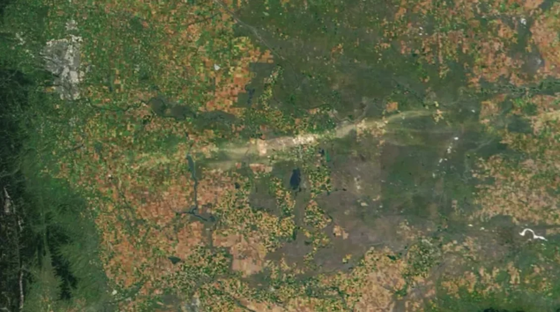 Satelitarne zdjęcia Alberty ukazują brunatną smugą pozostawioną przez gradobicie. / NASA EOSDIS LANCE i GIBS/Worldview.) Widok satelitarny terenu z rozległymi zielonymi i brązowymi obszarami roślinnymi przeciętymi liniową jasną ścieżką oraz pojedynczym skupiskiem ciemniejszych plam będących prawdopodobnie lasami lub zbiornikami wodnymi.