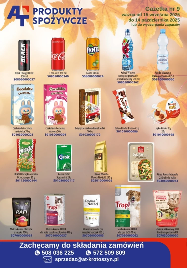 leaflet page preview image
