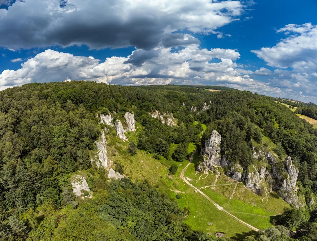 Panorama wapiennych skał otoczonych gęstym lasem, pośród których biegną ścieżki turystyczne pod błękitnym niebem pokrytym rozproszonymi chmurami.