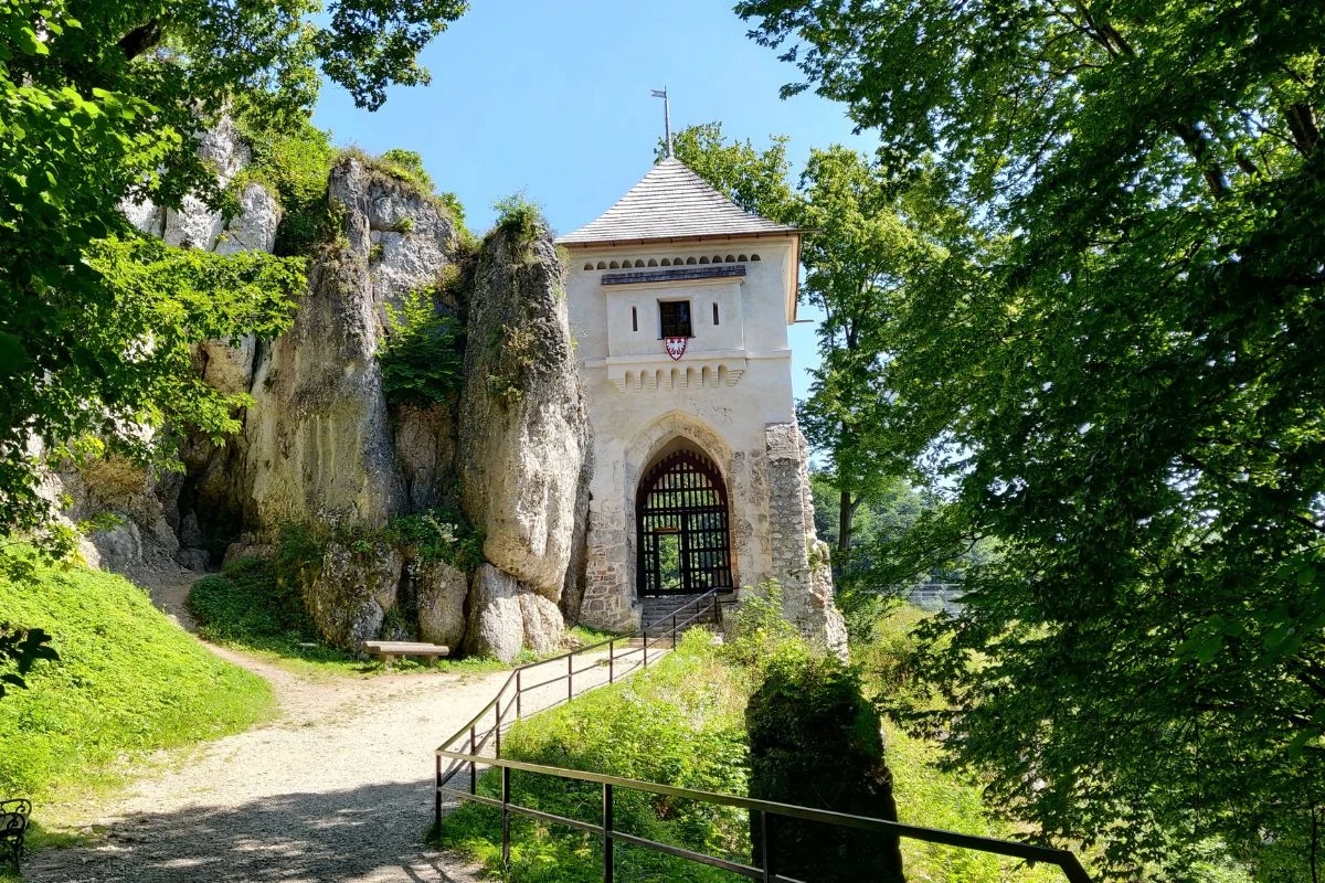 Kamienna brama średniowiecznego zamku w otoczeniu zielonych drzew, z metalową kratą i ścieżką prowadzącą do wejścia.