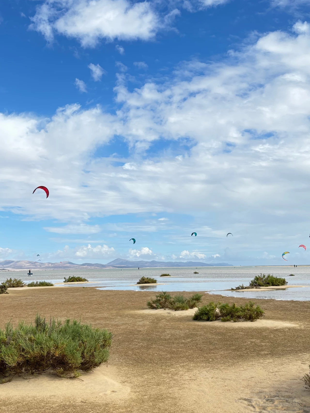 Plaża otoczona niską zielenią, szerokie morze z licznymi latawcami do kitesurfingu unoszącymi się na niebie, błękitne niebo z białymi chmurami, w tle majaczące góry.