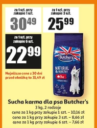 Karma dla psa Butcher's