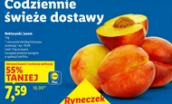 Nektarynki Plus-Plus