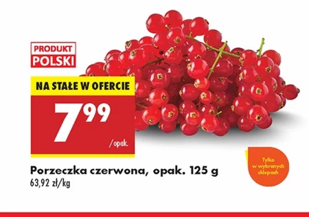Czerwona porzeczka Polski