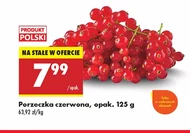 Czerwona porzeczka Polski