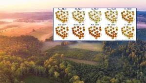 Szykuje się potężna zmiana w pogodzie. Nastąpi w ostatnich dniach lata