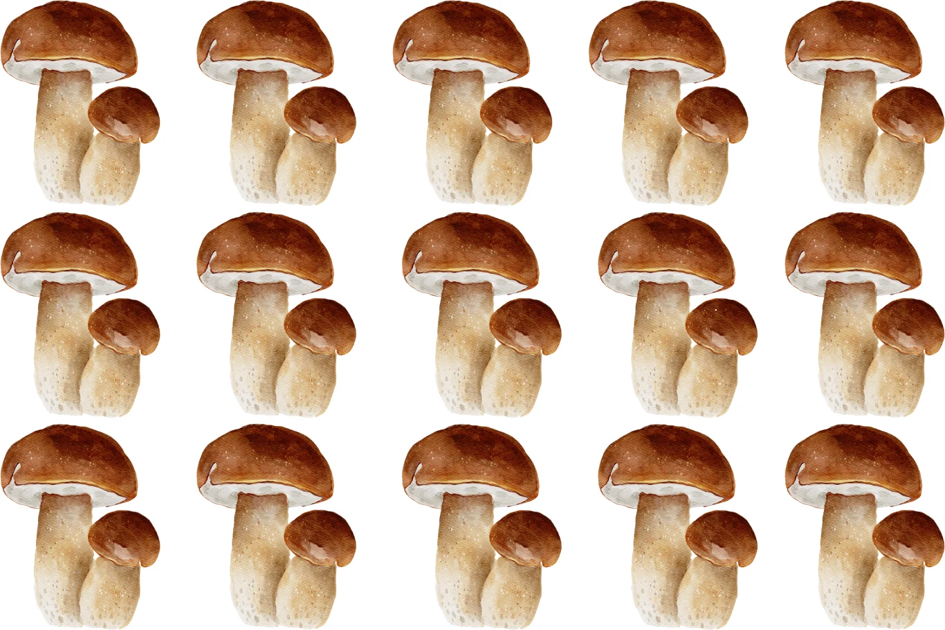 Szybki test na spostrzegawczość. Tylko wprawne oko dostrzeże różnicę Szybki test na spostrzegawczość. Tylko wprawne oko dostrzeże różnicę