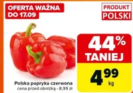 Papryka