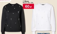 Bluza