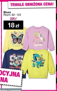 Bluza