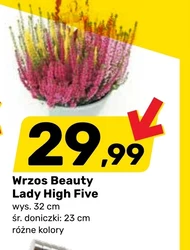 Wrzos Lady